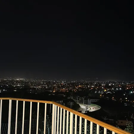 Pasha * Tiran